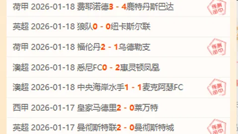 “澳网赛事：阿尔卡拉斯成功挺进男单16强”