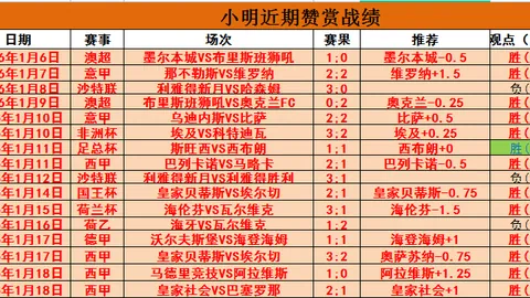 申花0-1横滨败北，路易斯错失良机